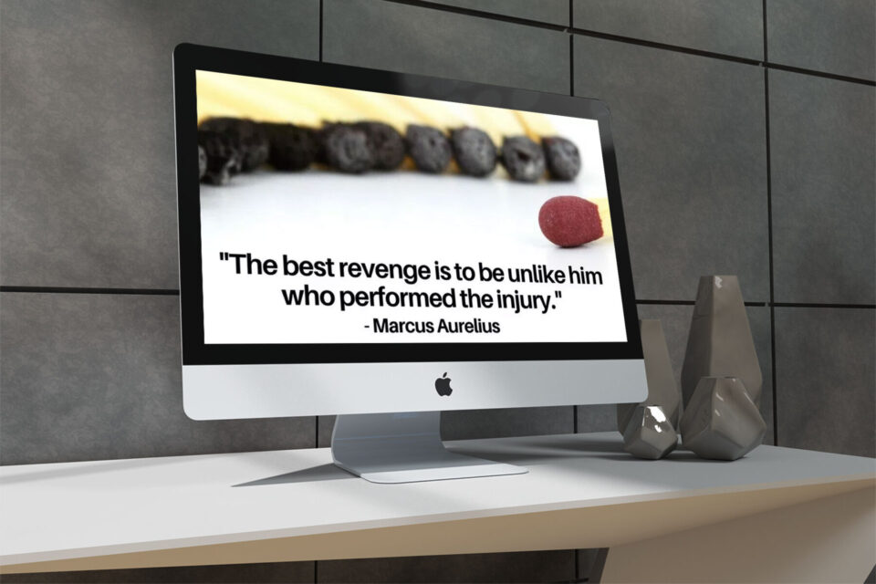 best-revenge