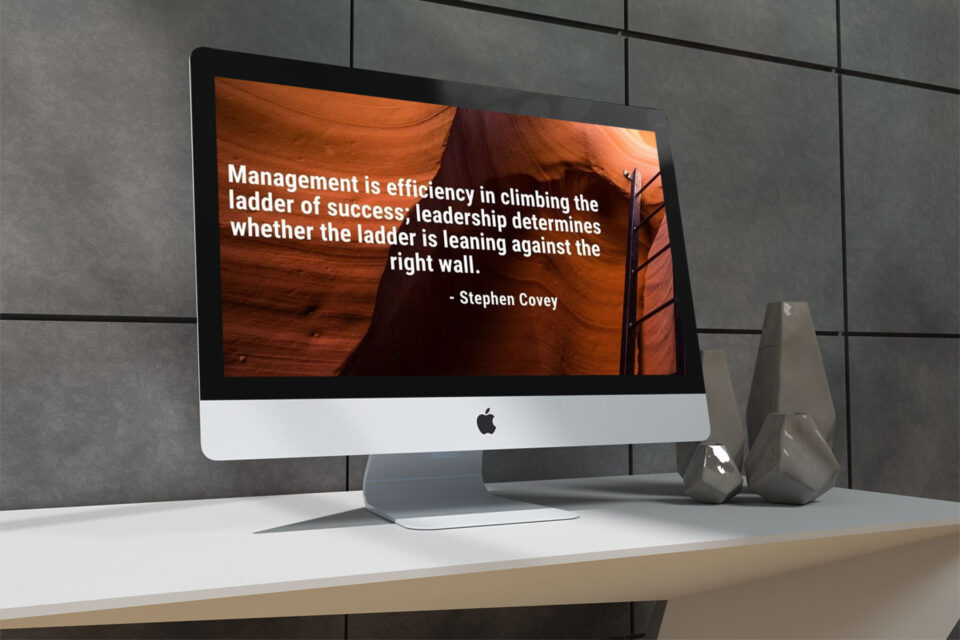 management-ladder